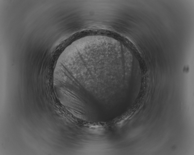 X0000088880919200707061407