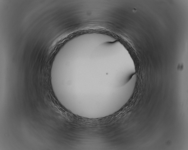 X0000088880920200707061407