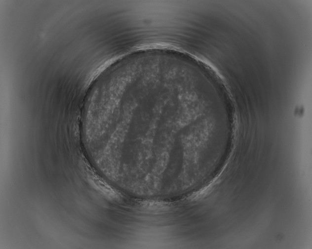 X0000088880921200707061407