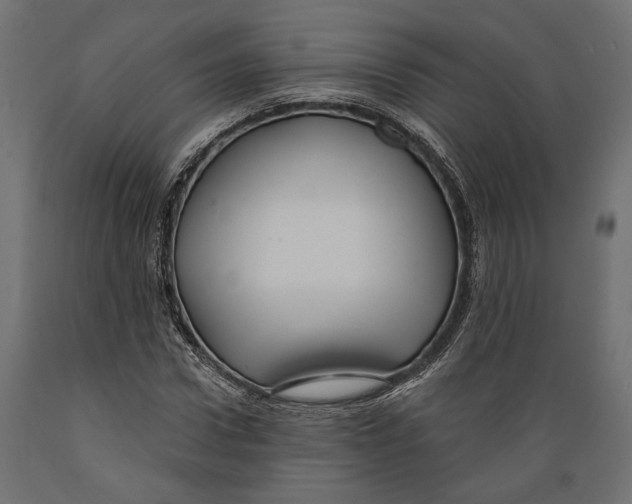 X0000088880922200707061407