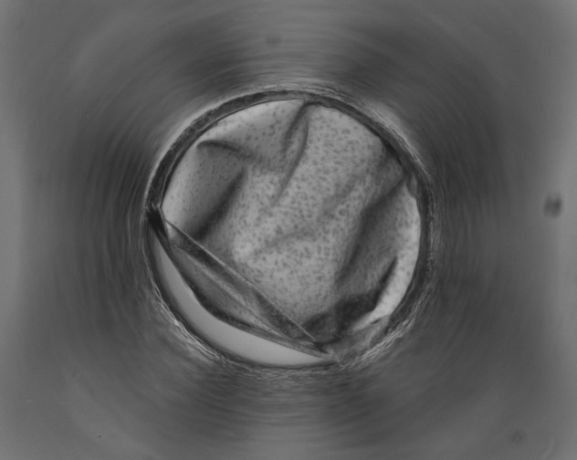X0000088880924200707061407
