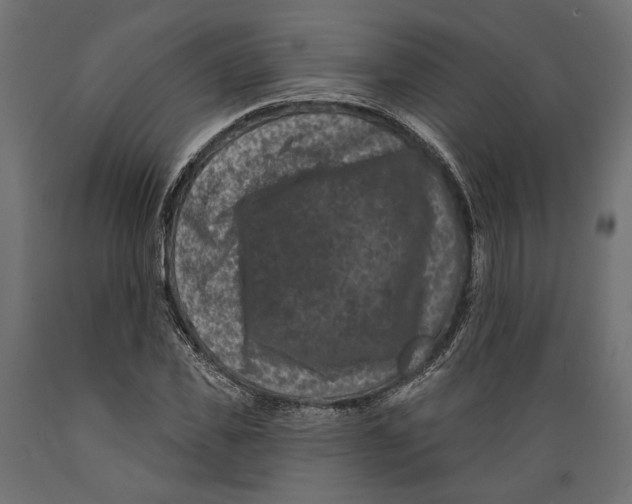 X0000088880925200707061407