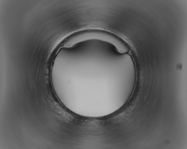X0000088880926200707061407