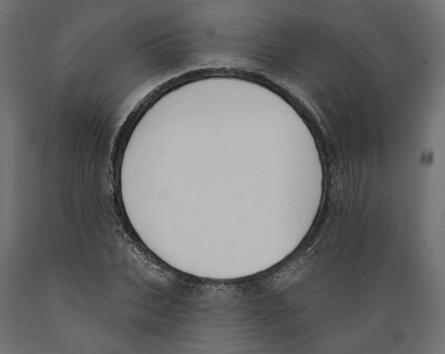 X0000088880927200707061407