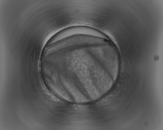 X0000088880928200707061407