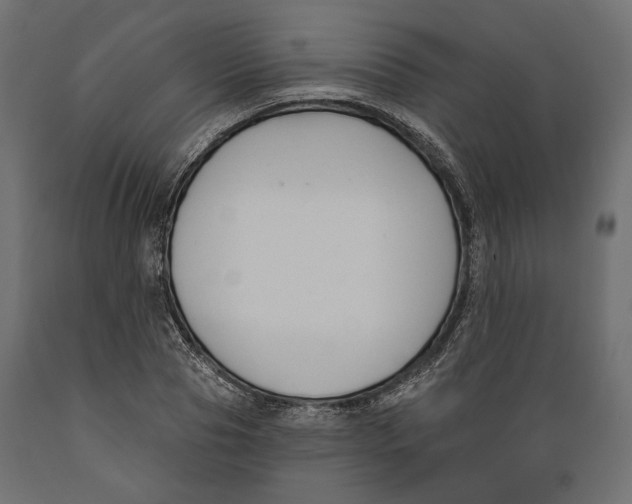 X0000088880929200707061407