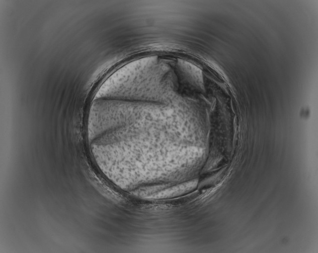 X0000088880930200707061407