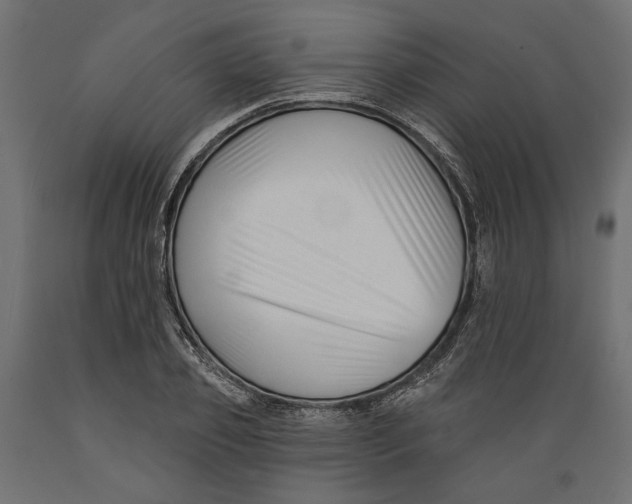 X0000088880933200707061407