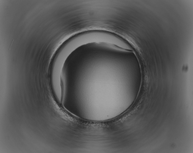 X0000088880934200707061407