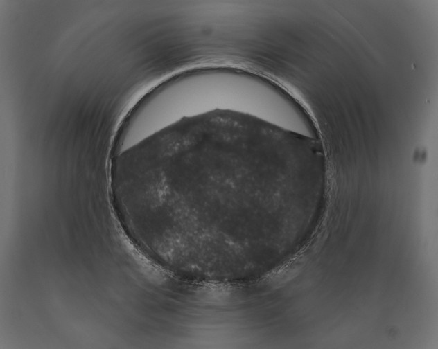 X0000088880935200707061407