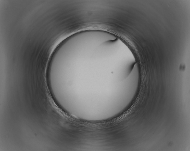 X0000088880936200707061407