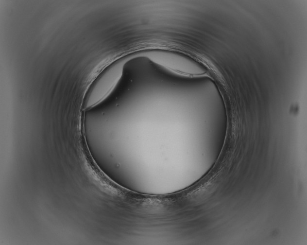 X0000088880938200707061407