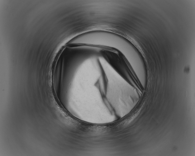 X0000088880939200707061407