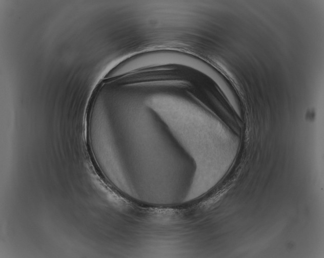 X0000088880940200707061407