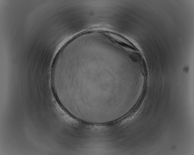X0000088880941200707061407
