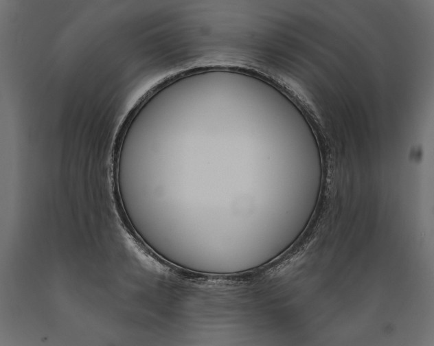 X0000088880942200707061407