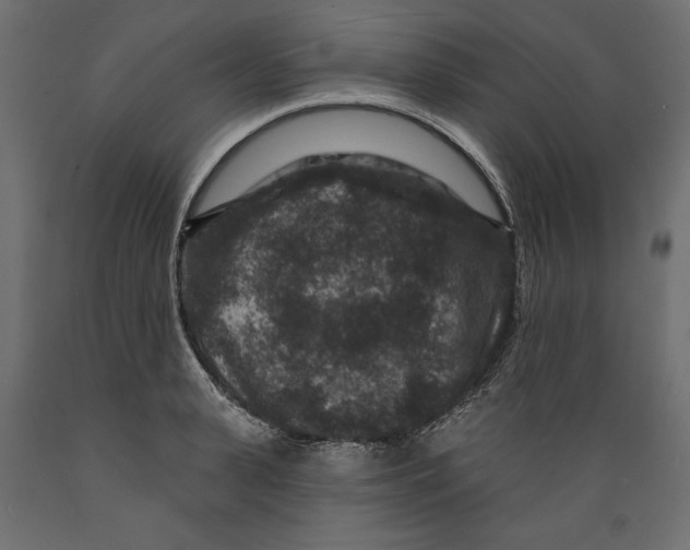 X0000088880943200707061407