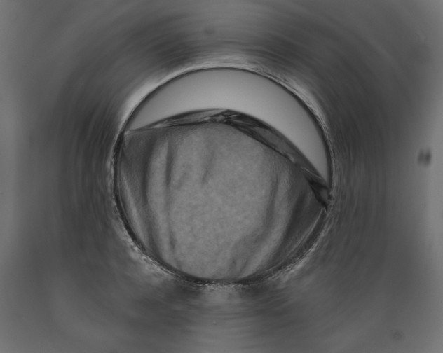 X0000088880944200707061407
