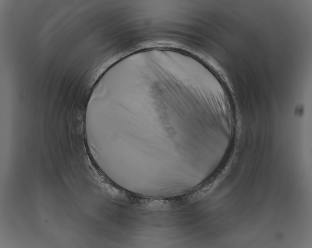 X0000088880945200707061407