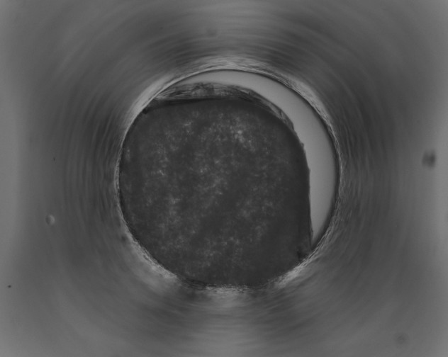 X0000088880946200707061407