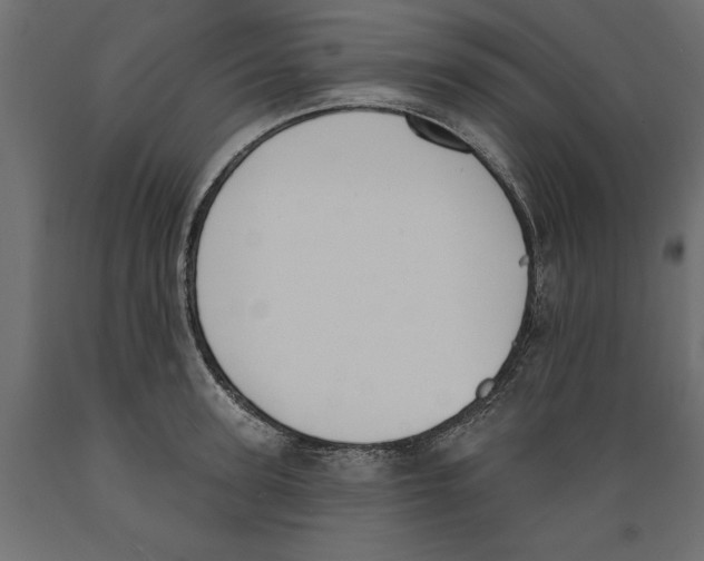 X0000088880947200707061407