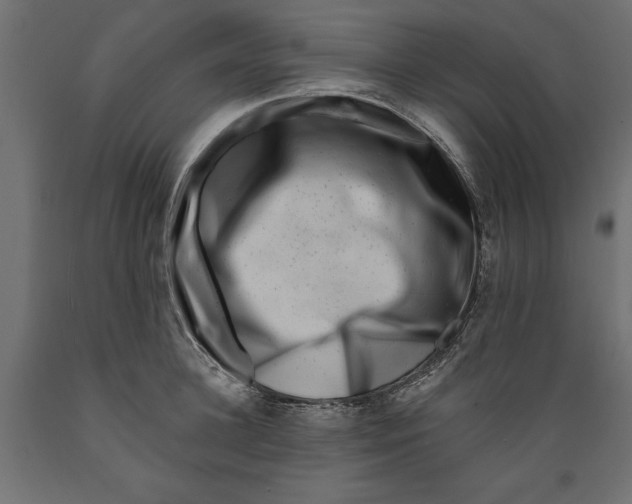 X0000088880948200707061407