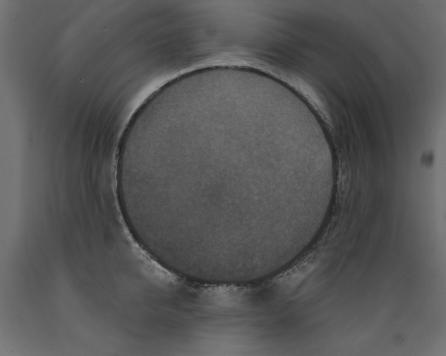X0000088880950200707061407