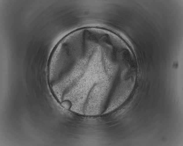 X0000088880951200707061407