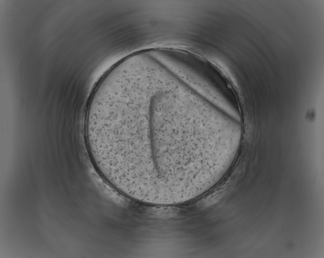 X0000088880952200707061407