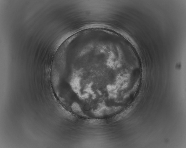 X0000088880953200707061407