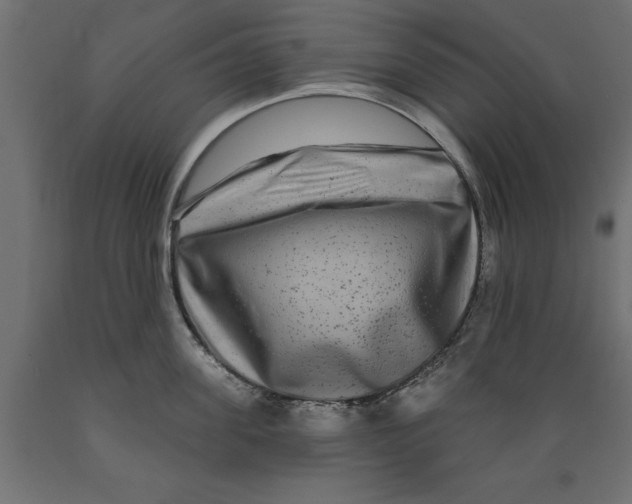 X0000088880955200707061407