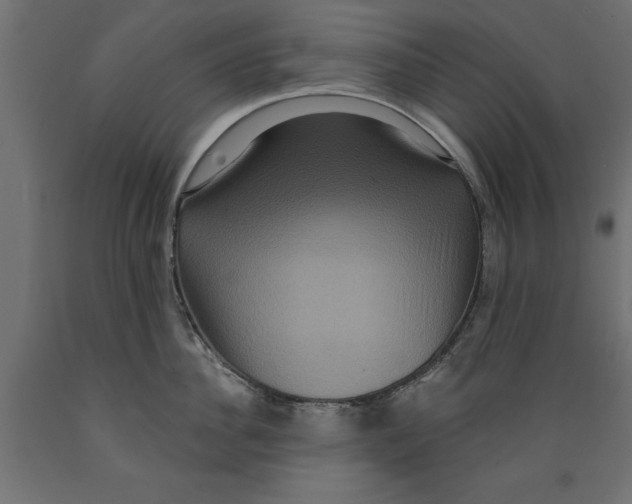 X0000088880956200707061407