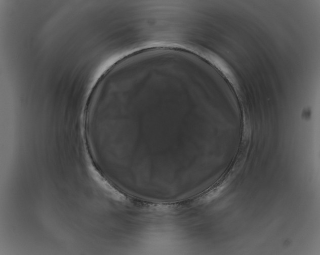X0000088880958200707061407