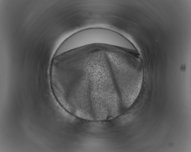 X0000088880959200707061407
