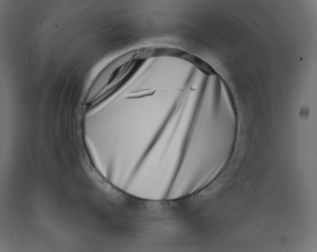 X0000088880960200707061407