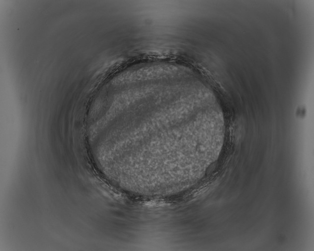X0000088880961200707061406