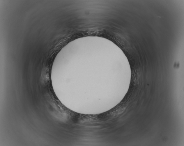 X0000088880962200707061406