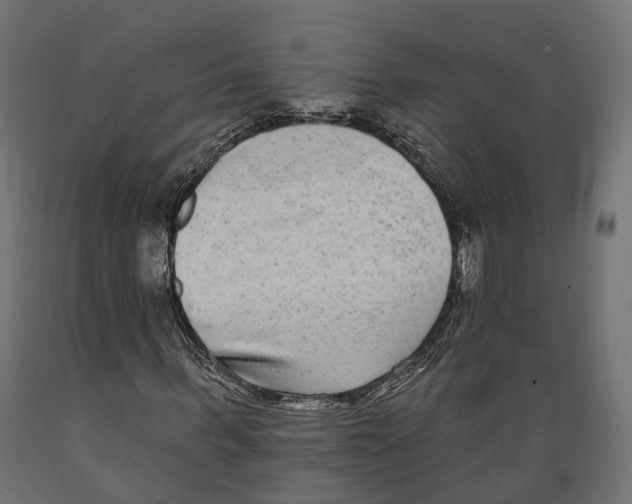 X0000088880963200707061406