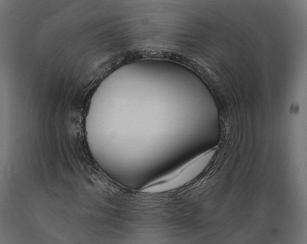 X0000088880964200707061406