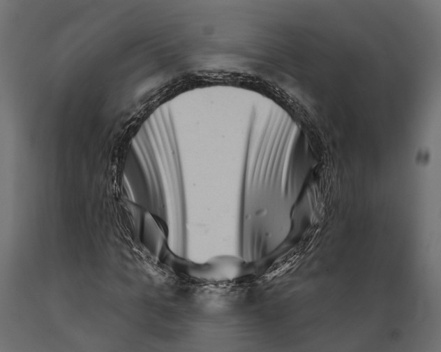 X0000088880965200707061406