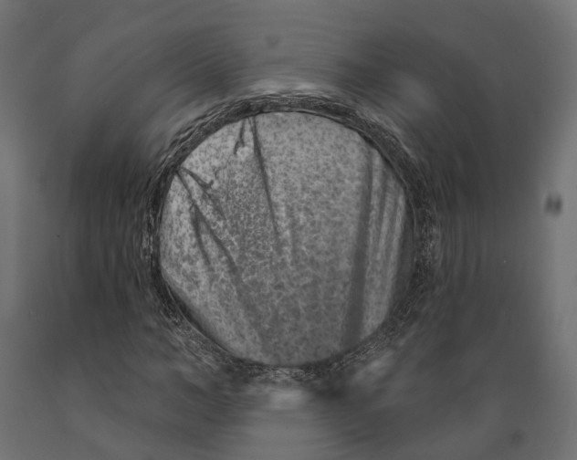 X0000088880966200707061406