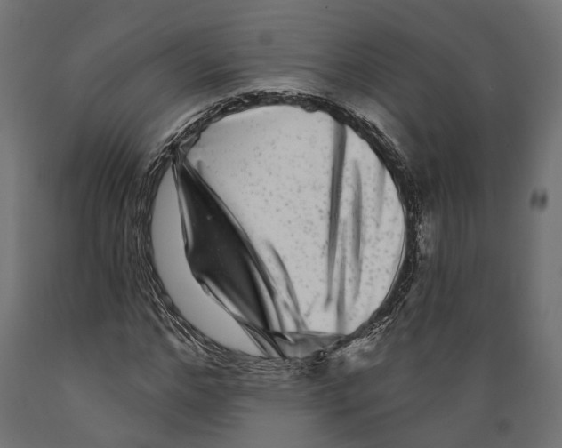 X0000088880968200707061406