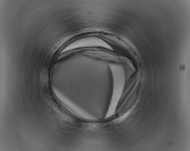 X0000088880969200707061406