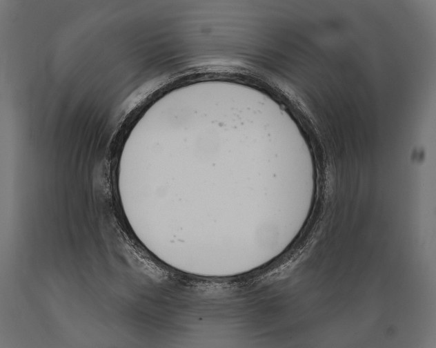 X0000088880970200707061406