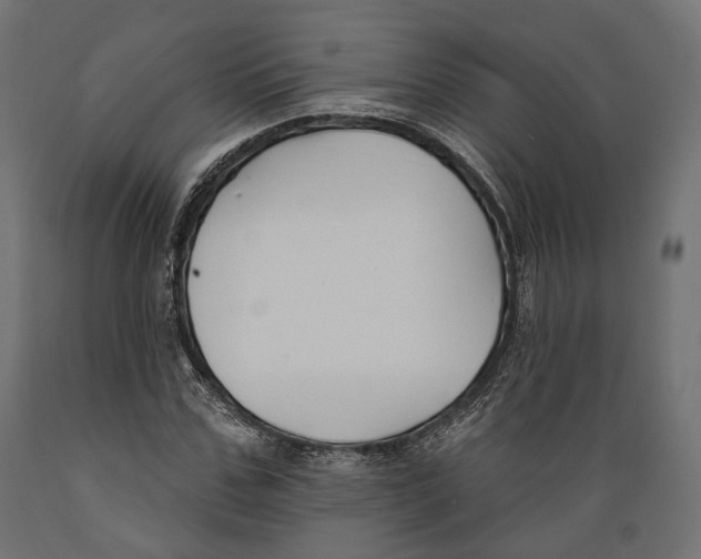 X0000088880971200707061406
