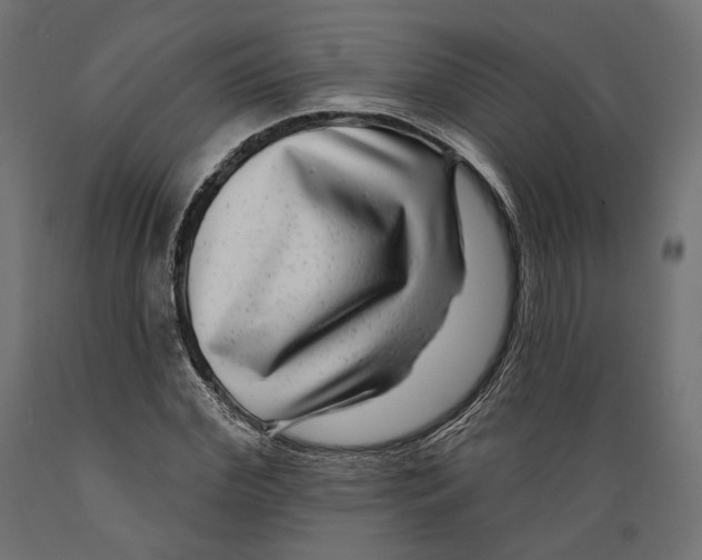 X0000088880972200707061406