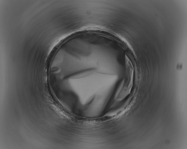 X0000088880973200707061406