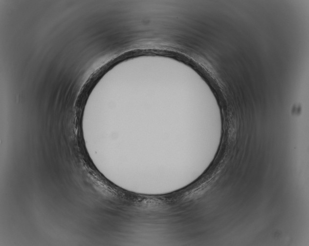 X0000088880974200707061406