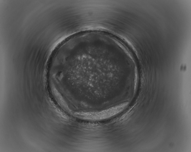 X0000088880975200707061406