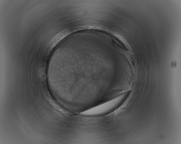 X0000088880977200707061406